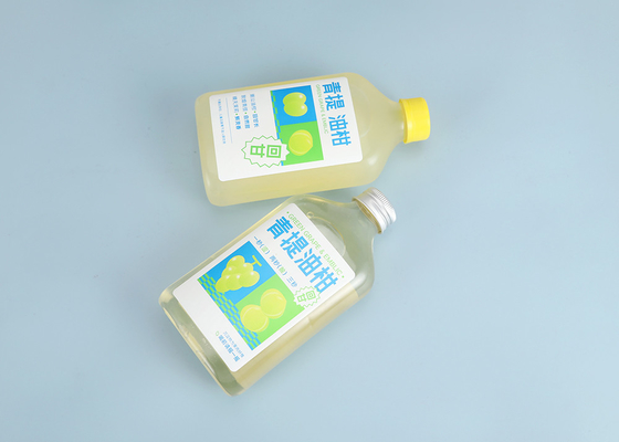 Melktheeflessen 250ml 350ml 300ml 500ml Plastic sapflessen met schroefdop