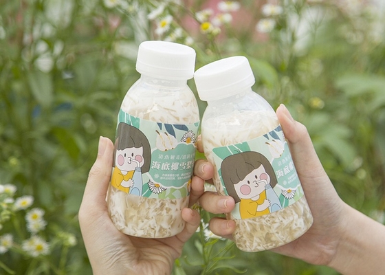 van de de Sojamelk van 400ml 14oz de Theeflessen Hittebestendig Vierkant Plastic Juice Bottle Juicy