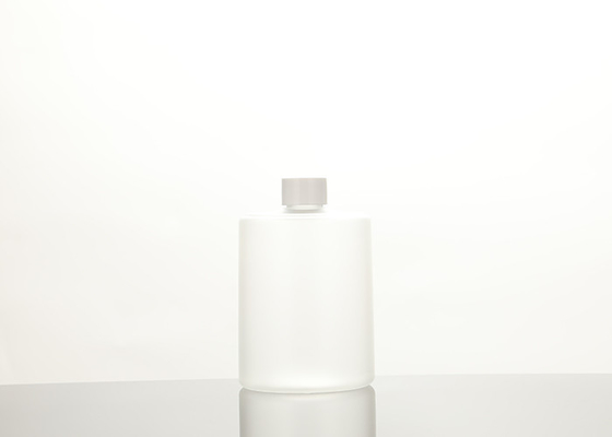 500ml plastic Lege Flessen met Schroefdop16oz voor lotion, shampoo